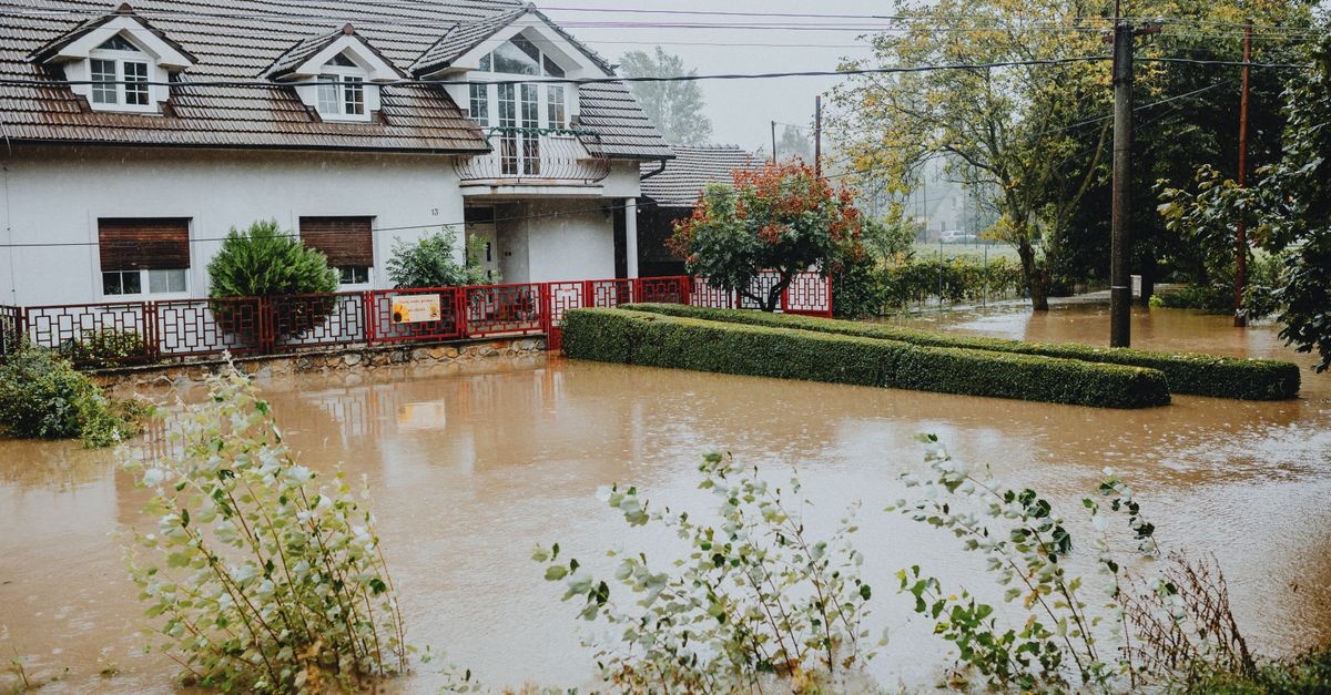 Wasserschaden schnell trocknen: Die besten Tipps für ein trockenes Zuhause