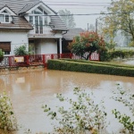 Wasserschaden schnell trocknen: Die besten Tipps für ein trockenes Zuhause