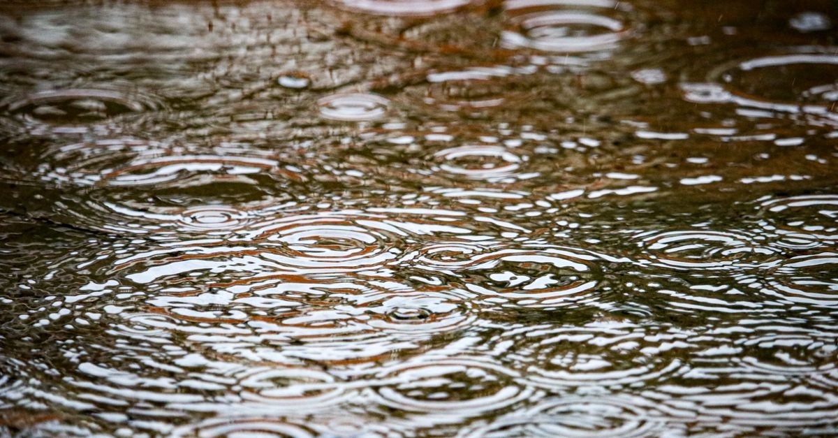 Regenwasserpumpe richtig auswählen: So finden Sie die perfekte Pumpe für Haus und Garten