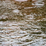 Regenwasserpumpe richtig auswählen: So finden Sie die perfekte Pumpe für Haus und Garten
