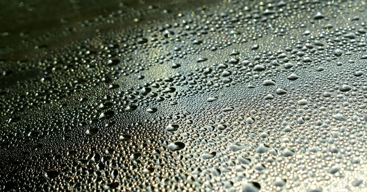 Seitlich eindringende Feuchtigkeit erkennen und Ihr Zuhause dauerhaft schützen