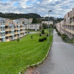 Freie oder vermietete Wohnung: Welche Option passt besser zu Ihren Zielen?