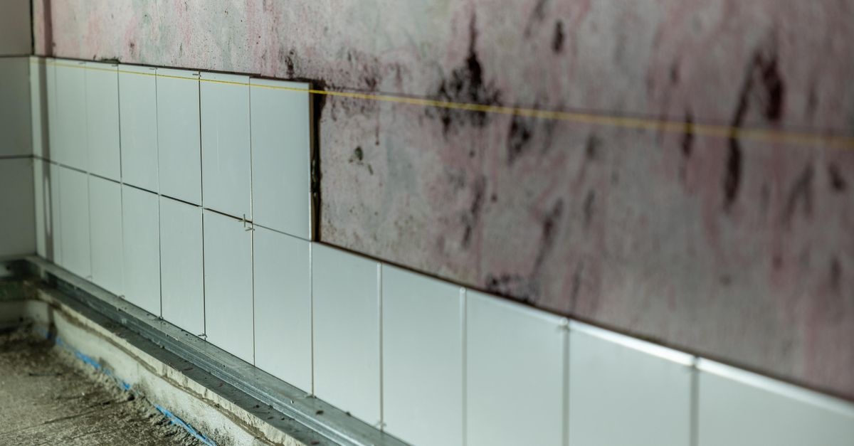 Schimmel im Bad vermeiden: 7 einfache Tipps für ein frisches, gesundes Zuhause