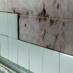 Schimmel im Bad vermeiden: 7 einfache Tipps für ein frisches, gesundes Zuhause